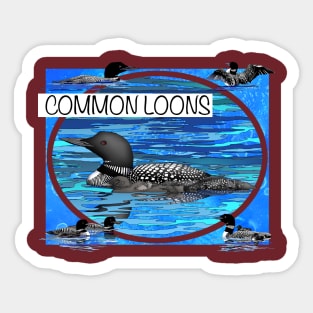 Common Loons Sticker